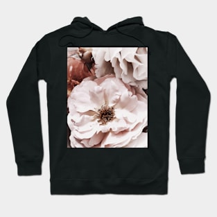 Flowers print, Roses, Pink, Pastel, Fashion print, Modern art, Wall art, Print, Minimalistic, Modern Hoodie